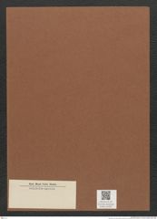 Diatomeae indet. Zeichnungen Sammlung Grunow Mappe 02325 (Herbarium_W_Grunow_drawings_Folder_02325)